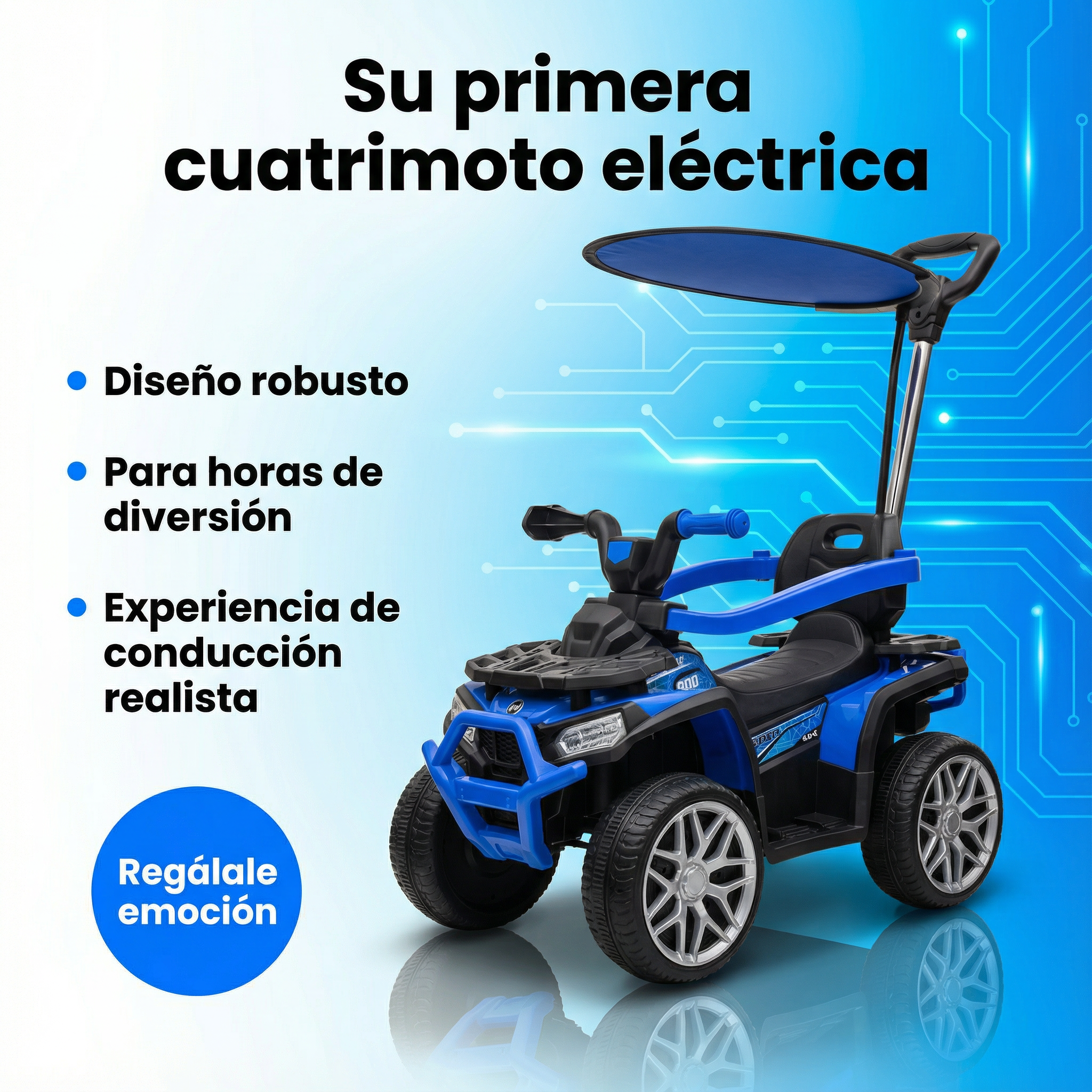 Cuatrimoto Eléctrica Con Control Y Carpa